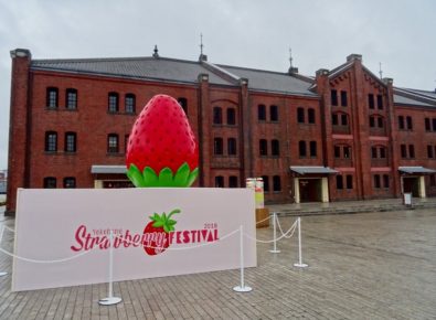 ヨコハマストロベリーフェスティバル2018, いちご, 横浜赤レンガ倉庫,横浜,チーバベリー,スカイベリー,とちおとめ,ふくはる香