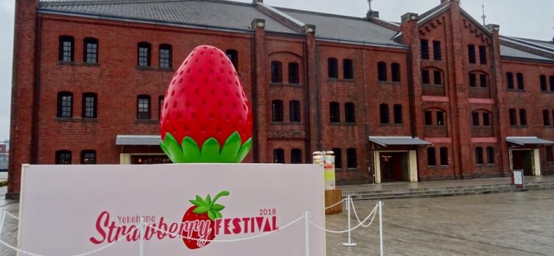 ヨコハマストロベリーフェスティバル2018, いちご, 横浜赤レンガ倉庫,横浜,チーバベリー,スカイベリー,とちおとめ,ふくはる香