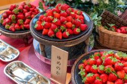 帝国ホテル 大阪,苺スイーツバイキング ～苺とショコラの饗宴～